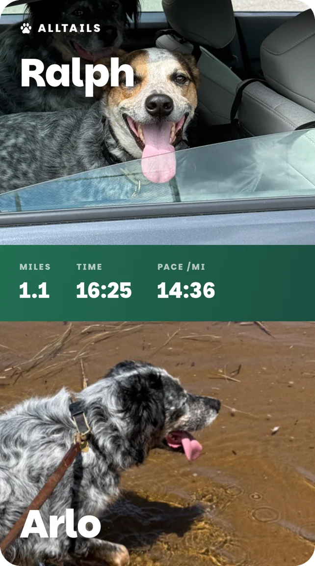Split card: Ralph on top, Arlo below, with miles, time and pace.